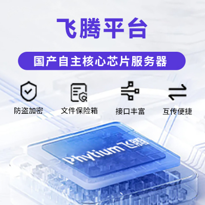 自主指令架构|自主生产工艺|高性能